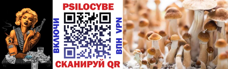 Псилоцибиновые грибы GOLDEN TEACHER  Себеж 